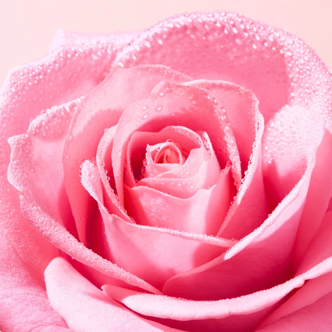 NUXE VERY ROSE Oczyszczająca Pianka Micelarna - 150ml