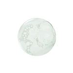 DUCRAY SABAL Szampon Regulujący Wydzielanie Sebum - 200ml