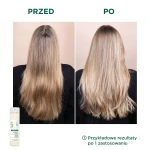 KLORANE Ultrałagodny Szampon Suchy – wszystkie rodzaje włosów – Owies i Ceramide - 150ml