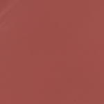PAESE Nudelightful nawilżająca pomadka do ust 404 Caramelized Plum 4.5g
