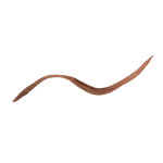 PAESE Eyegasm Eyeliner płynny eyeliner z odżywką 02 Brown 4ml