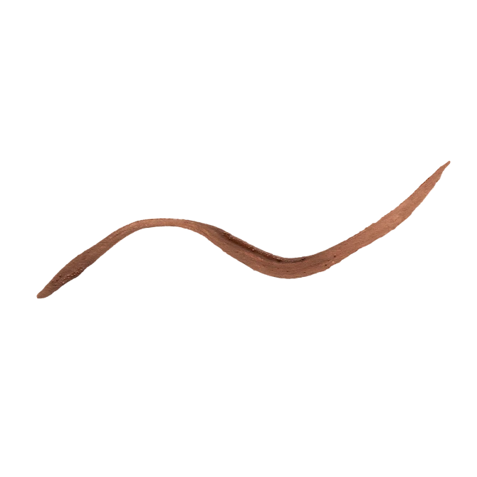 PAESE Eyegasm Eyeliner płynny eyeliner z odżywką 02 Brown 4ml
