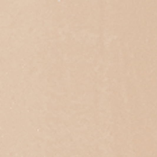 PAESE My Skin Icon podkład matujący 0.5N Porcelain 33ml (id: 51250)