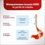 ALUGASTRIN Mucoref leczenie refluksu żołądkowego, saszetki 14x15 ml