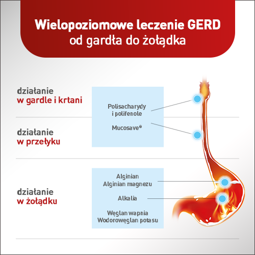ALUGASTRIN Mucoref leczenie refluksu żołądkowego, saszetki 14x15 ml