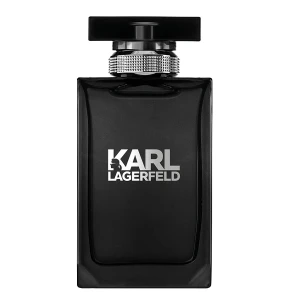 LAGERFELD POUR Homme woda toaletowa spray męskie 100 ml
