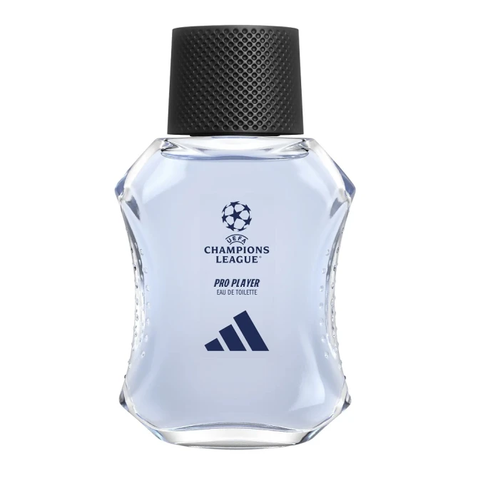 26208981764140607