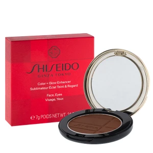 SHISEIDO COLOR + GLOW ENHANCER 09 (Bronze Agate) 7,2G