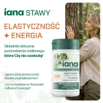 IANA Stawy Elastyczność + Energia 60 tabl.