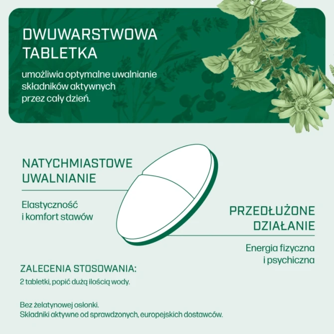 IANA Stawy Elastyczność + Energia 60 tabl.