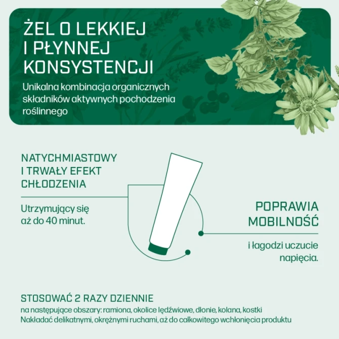 IANA Stawy Intensywnie chłodzący żel 100 ml
