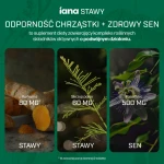 IANA Stawy Odporność Chrząstki + Zdrowy sen 60 tabl.