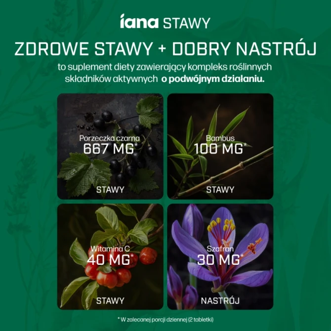 IANA Stawy Zdrowe stawy + Dobry Nastrój - 60 tabl.