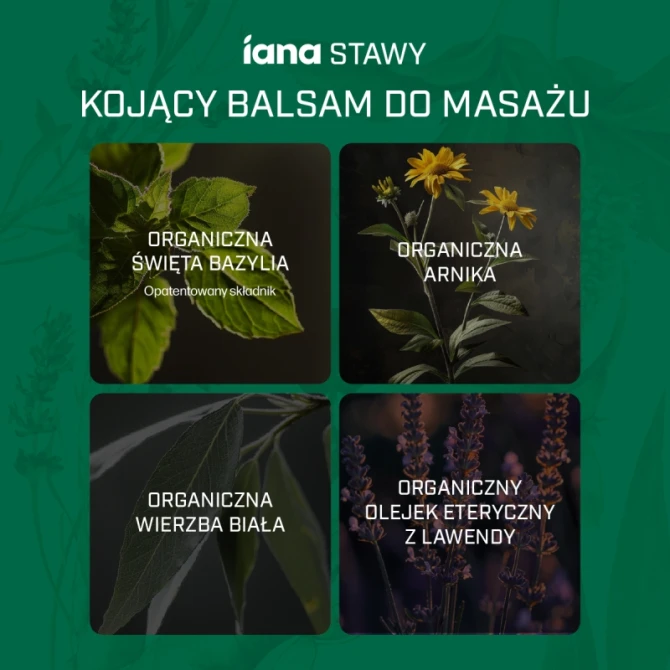 IANA Stawy Kojący balsam do masażu 100 ml