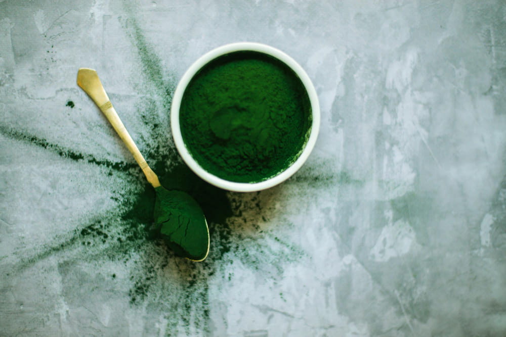 Spirulina w proszku 