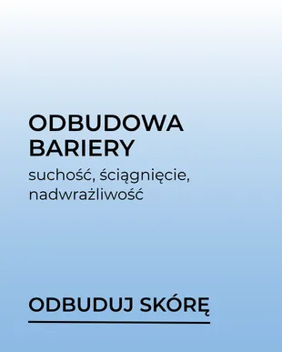 Odbudowa bariery